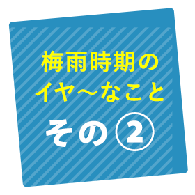 ~J̃C`ȂƂ2