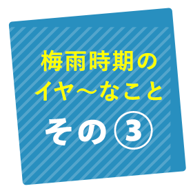 ~J̃C`ȂƂ2