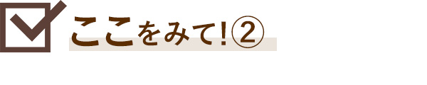 ここをみて！②