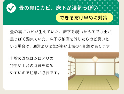 ● 畳の裏にカビ、床下が湿気っぽい ⇒ できるだけ早めに対策・畳の裏にカビが生えていた、床下を覗いたら冬でも土が黒っぽく湿気ていた、床下収納庫を外したらカビ臭いという場合は、通常より湿気が多い土壌の可能性があります。土壌の湿気はシロアリの発生や土台の腐食を進めやすいので注意が必要です。