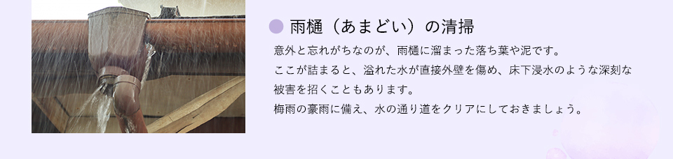 ●雨樋（あまどい）の清掃
意外と忘れがちなのが、雨樋に溜まった落ち葉や泥です。ここが詰まると、溢れた水が直接外壁を傷め、床下浸水のような深刻な被害を招くこともあります。梅雨の豪雨に備え、水の通り道をクリアにしておきましょう。