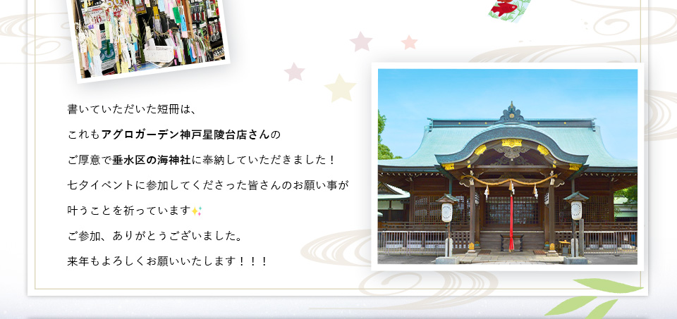 書いていただいた短冊は、これもアグロガーデン神戸星陵台店さんのご厚意で垂水区の海神社に奉納していただきました！七夕イベントに参加してくださった皆さんのお願い事が叶うことを祈っています。ご参加、ありがとうございました。来年もよろしくお願いいたします！！！
